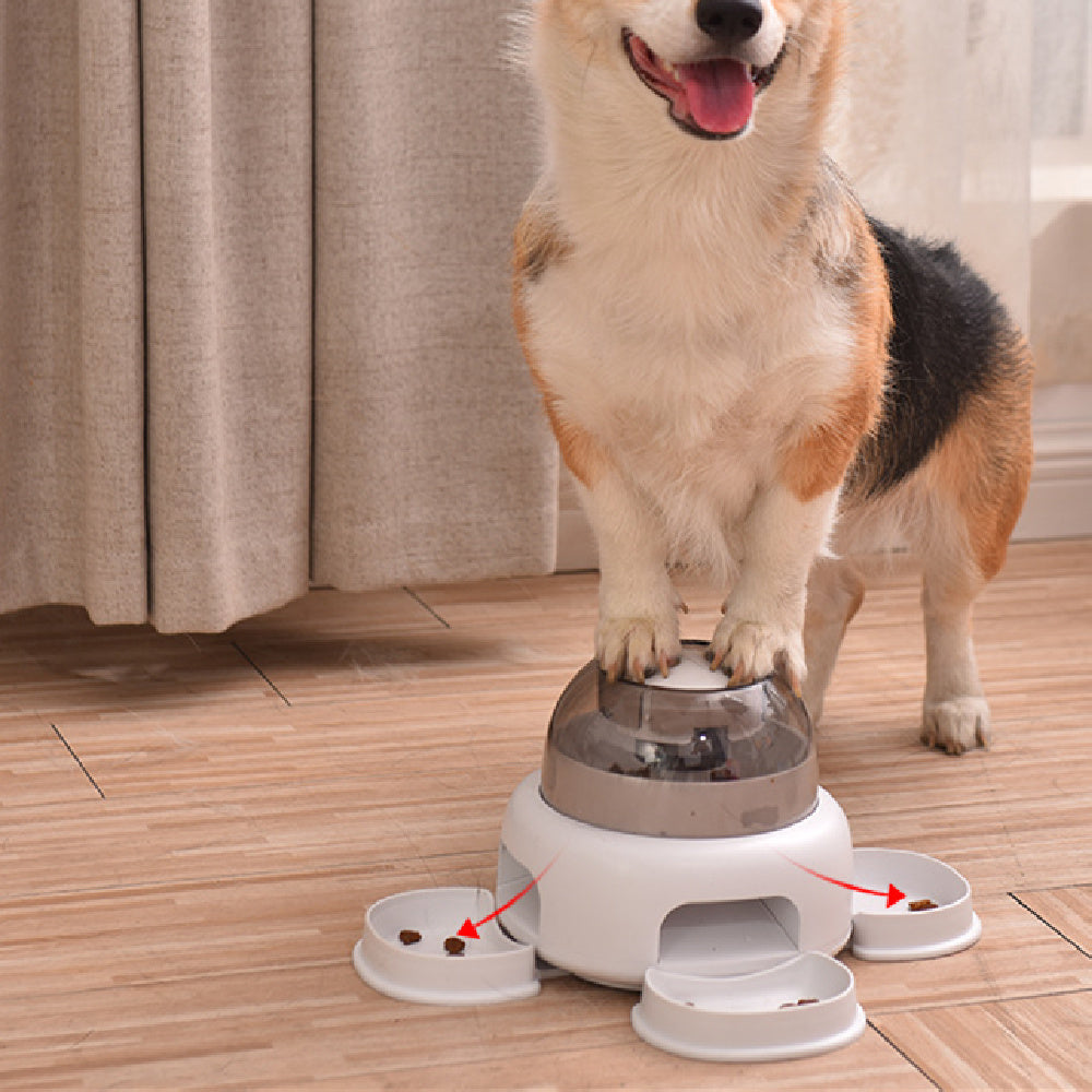 Automatic Dog Food Feeder