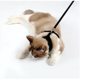 Anti-skidding cat harness