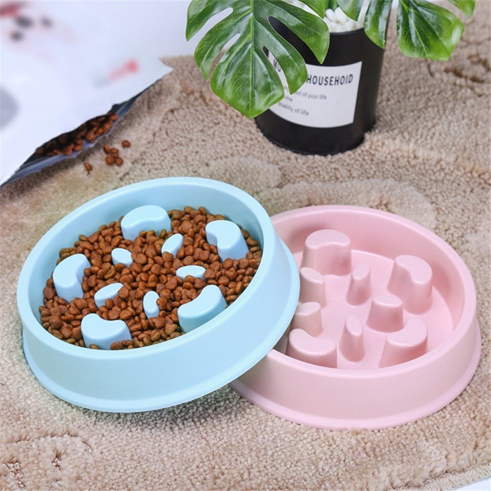 Slow Feeder Pet Bowl