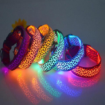 LED Safety Dog Collar