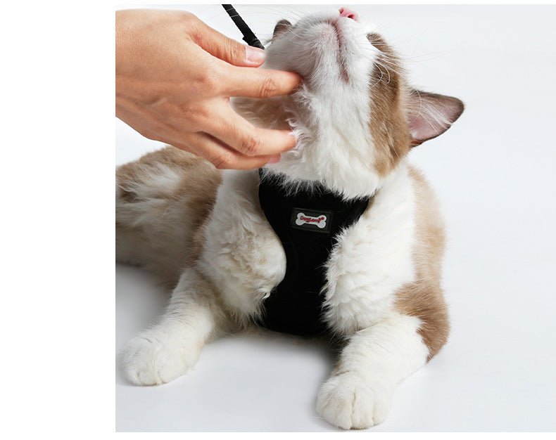 Anti-skidding cat harness