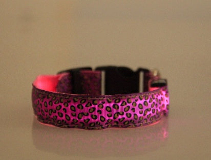 LED Safety Dog Collar