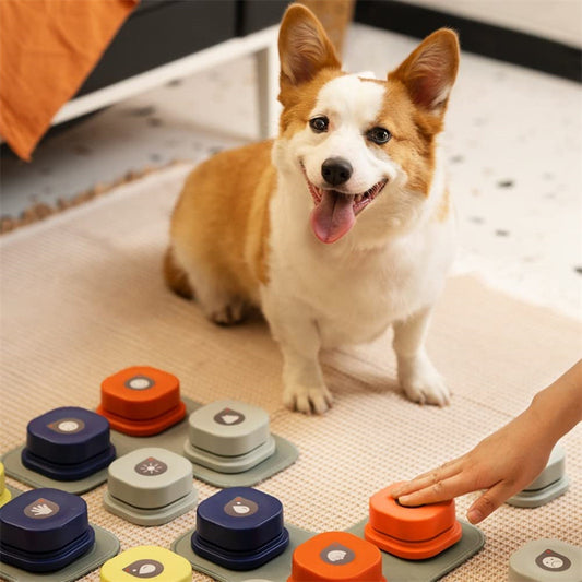 Recordable Pet Talking Buttons