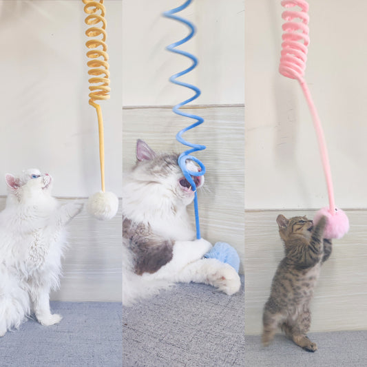 Spring Suction Cat Toy