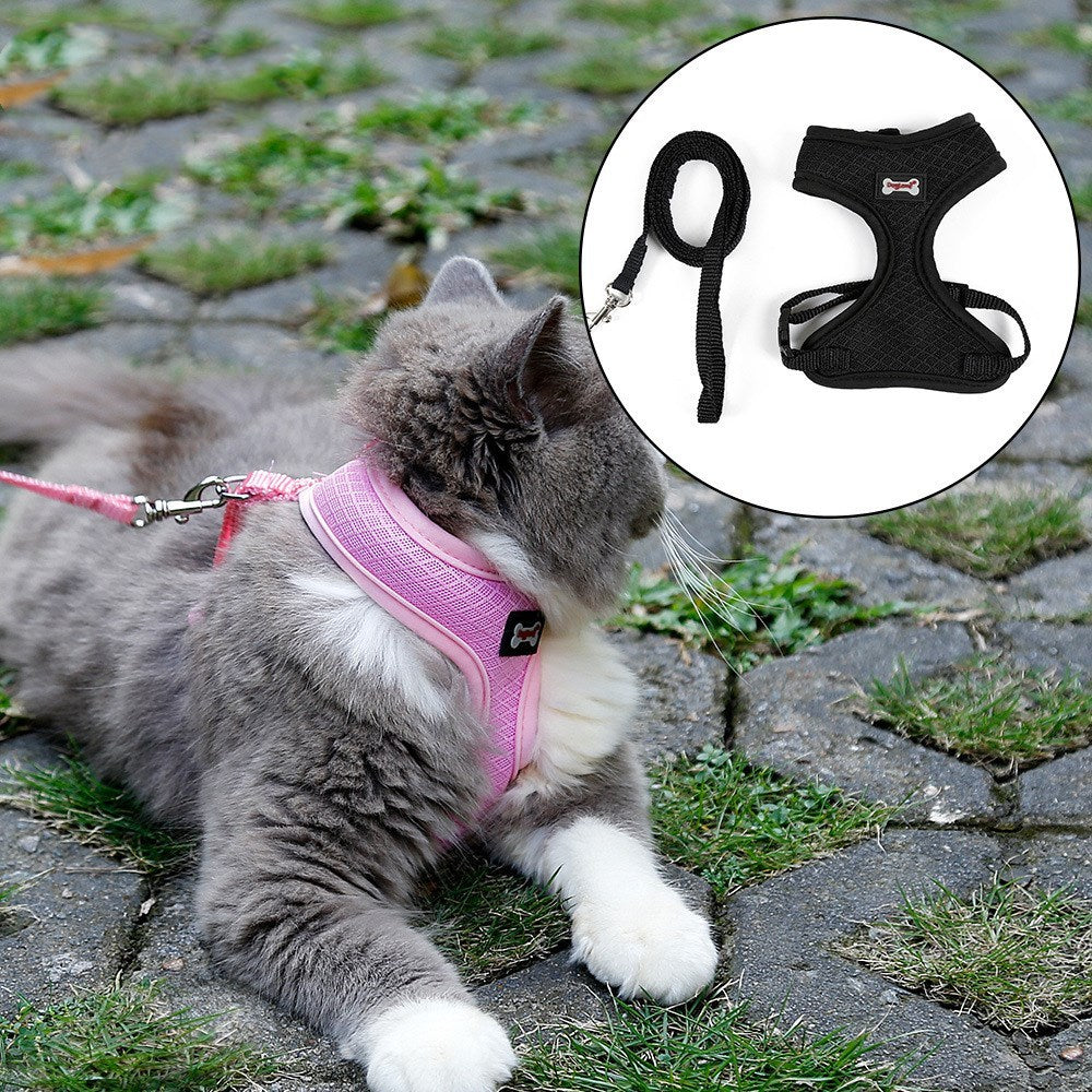 Anti-skidding cat harness