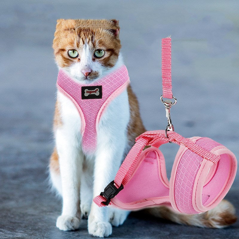 Anti-skidding cat harness