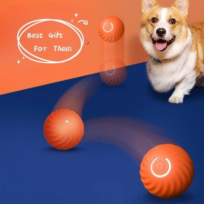 Durable Dog Chew Ball