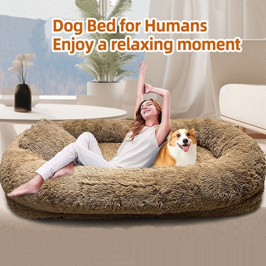 Plush Sofa For Owner And Dog