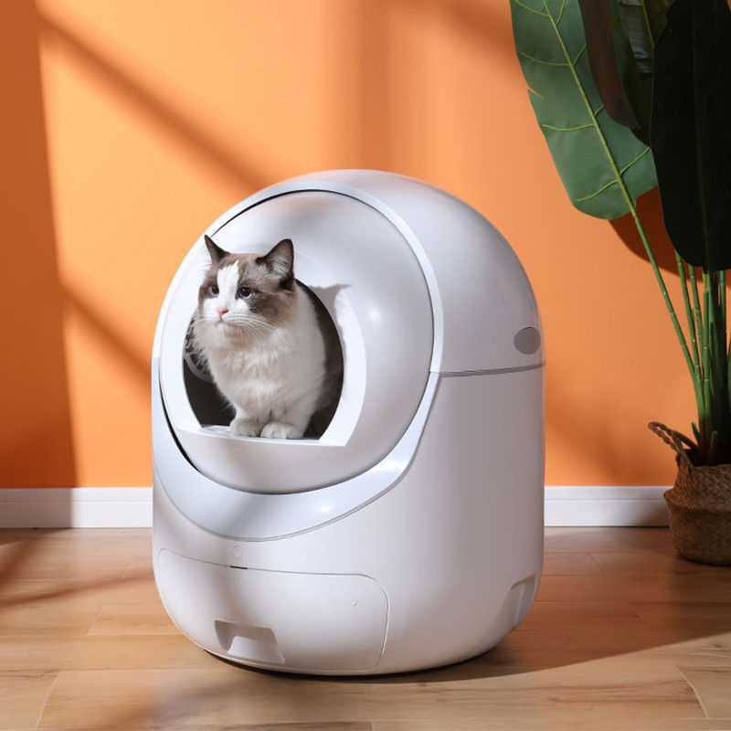 Automatic Enclosed Cat Litter Box