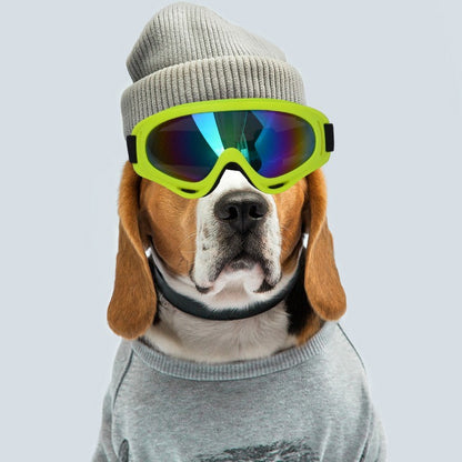 Outdoor Dog Sunglasses